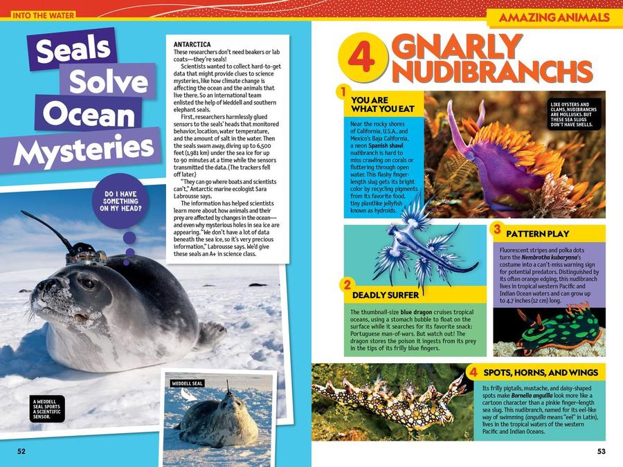 National Geographic Kids Almanac 2025 US - Paperback / softback