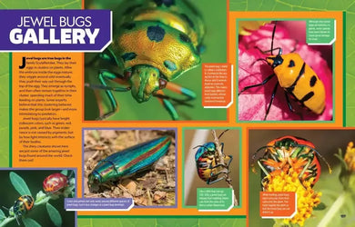 Ultimate Bugopedia, 2nd Edition US - Hardback (9781426376153)