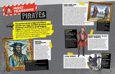 How to Survive in the Age of Pirates US - Hardback