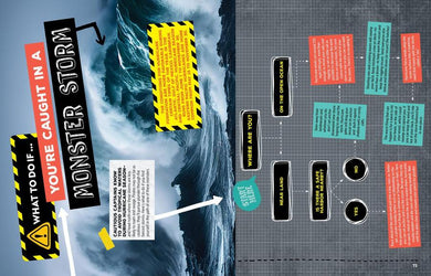 How to Survive in the Age of Pirates US - Hardback