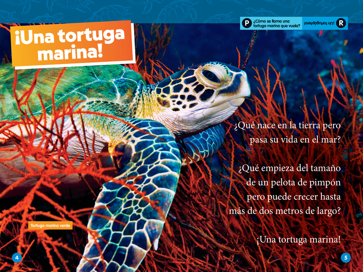 National Geographic Readers: Las Tortugas Marinas (L2) interior 1 (ISBN 9781426376504)