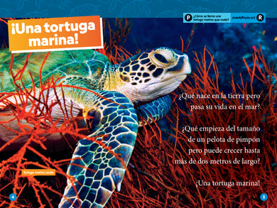 National Geographic Readers: Las Tortugas Marinas (L2) interior 1 (ISBN 9781426376504)