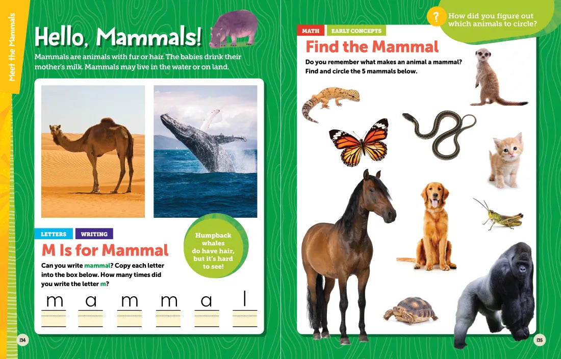 National Geographic Kids Explore! Workbook Pre-K US - Paperback / softback