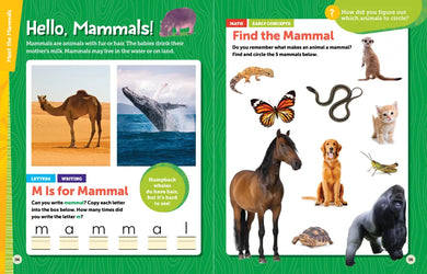 National Geographic Kids Explore! Workbook Pre-K US - Paperback / softback