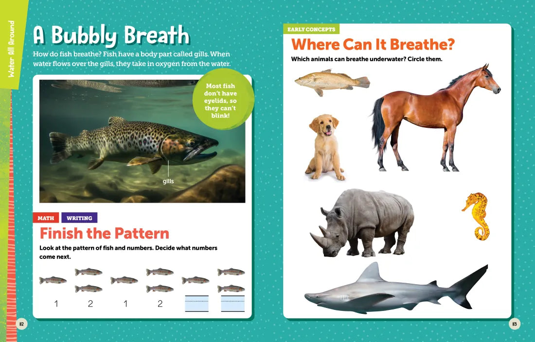 National Geographic Kids Explore! Workbook Pre-K US - Paperback / softback