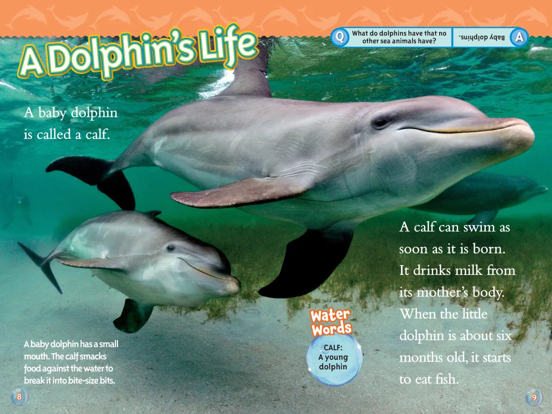 Superstars of the Sea Collection (National Geographic Kids Readers, Level 2) US - Hardback