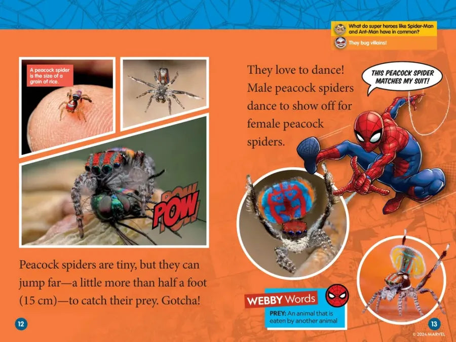 Marvel's Spider-Man Bugs Out! (National Geographic Kids Readers, Level 1) US - Paperback / softback