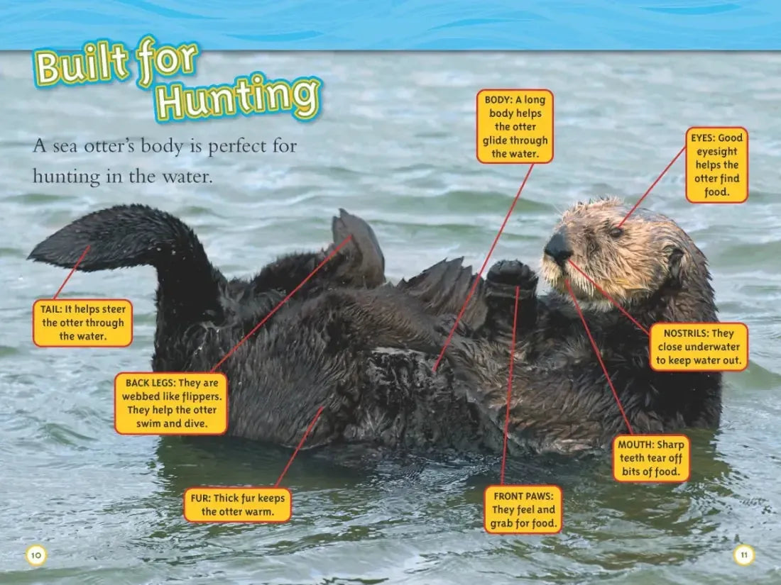 Animal All-Stars Collection (National Geographic Kids Readers, Level 1) US - Hardback