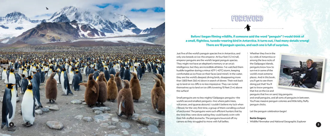 Penguin Palooza US - Hardback (9781426377150)