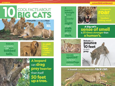 National Geographic Kids Almanac 2026 (Canadian Edition) US - Paperback / softback