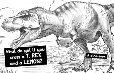 Just Jokes US - Hardback