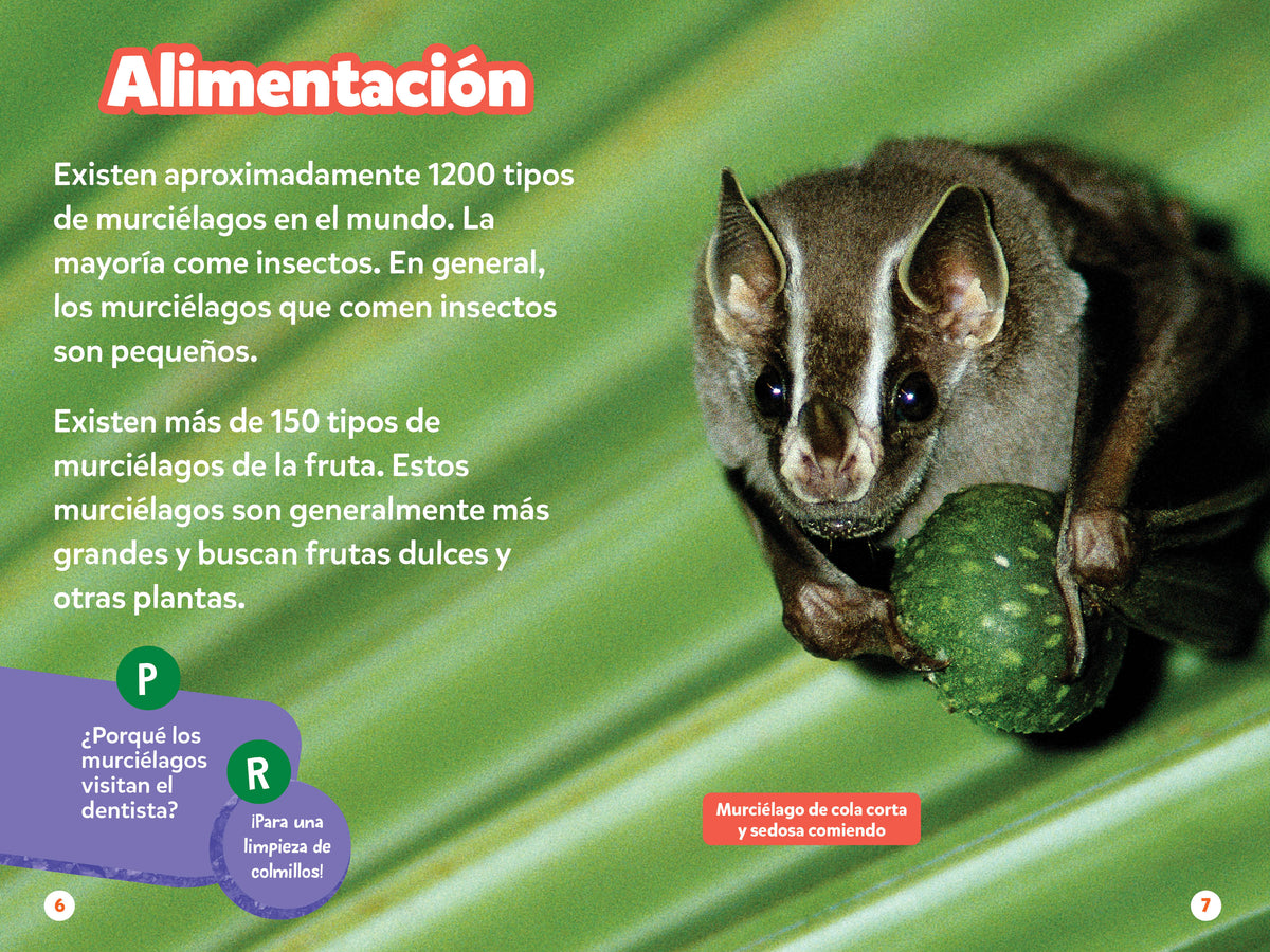 National Geographic Readers: Los Murciélagos interior 2 (ISBN 9781426378263)