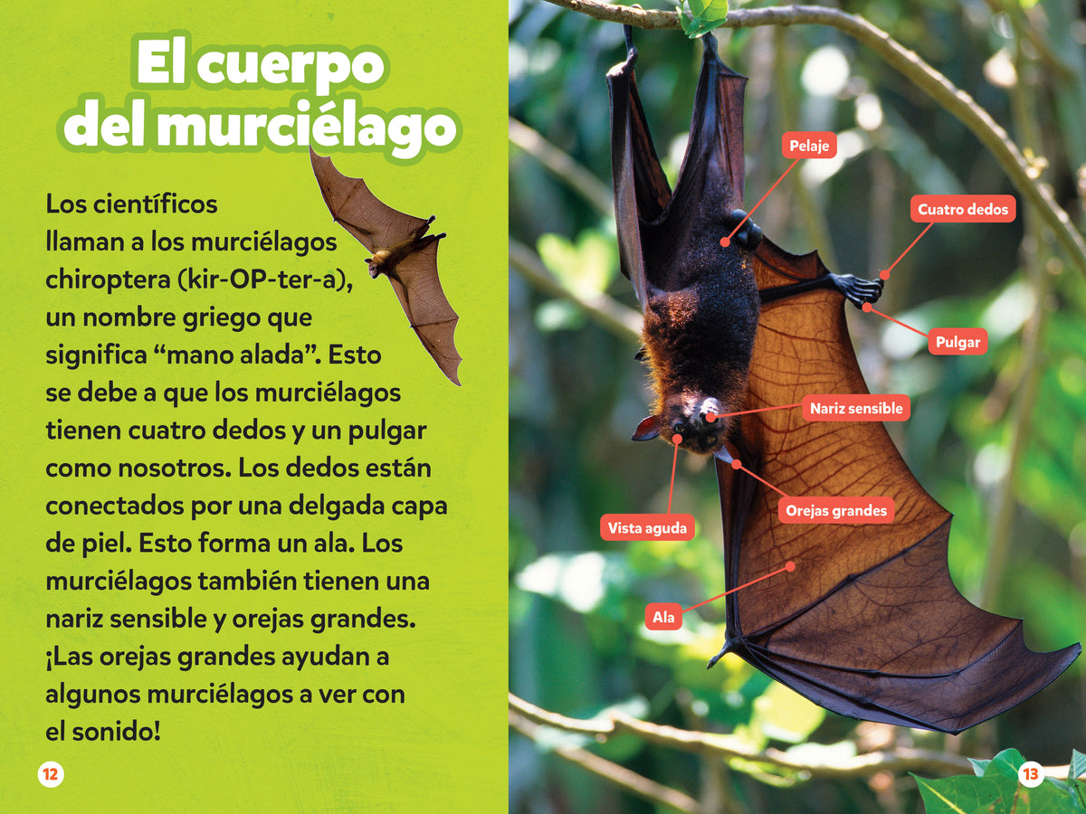 National Geographic Readers: Los Murciélagos interior 3 (ISBN 9781426378263)