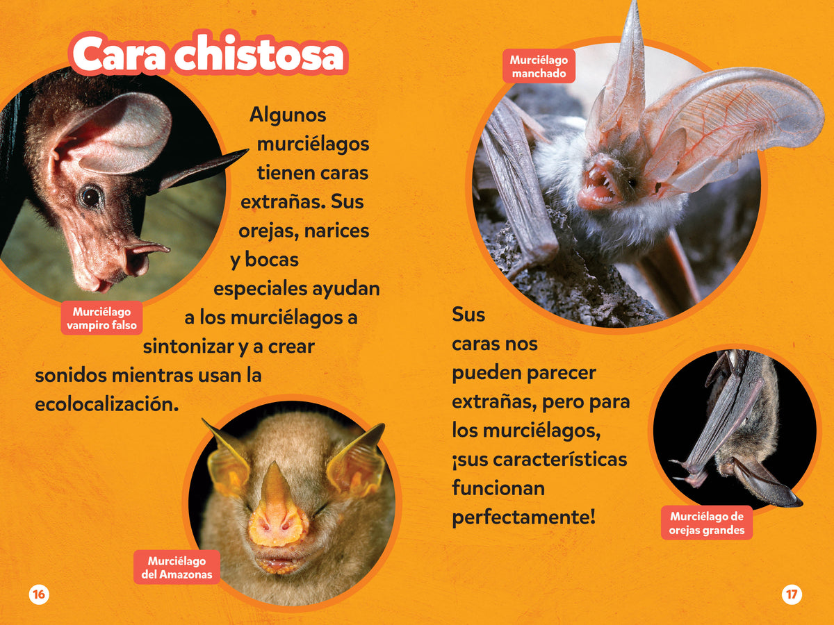 National Geographic Readers: Los Murciélagos interior 4 (ISBN 9781426378263)