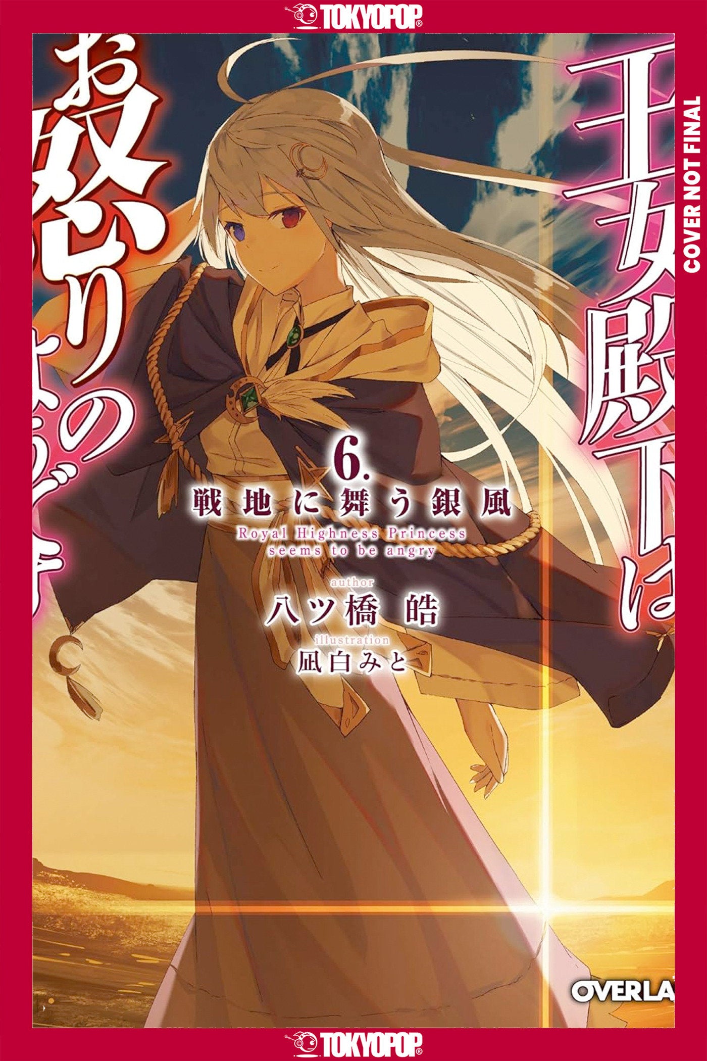 Her Royal Highness Seems to Be Angry, Volume 6 (Light Novel)-Graphic novels/ Comic books/ Manga/ Cartoons-買書書 BuyBookBook
