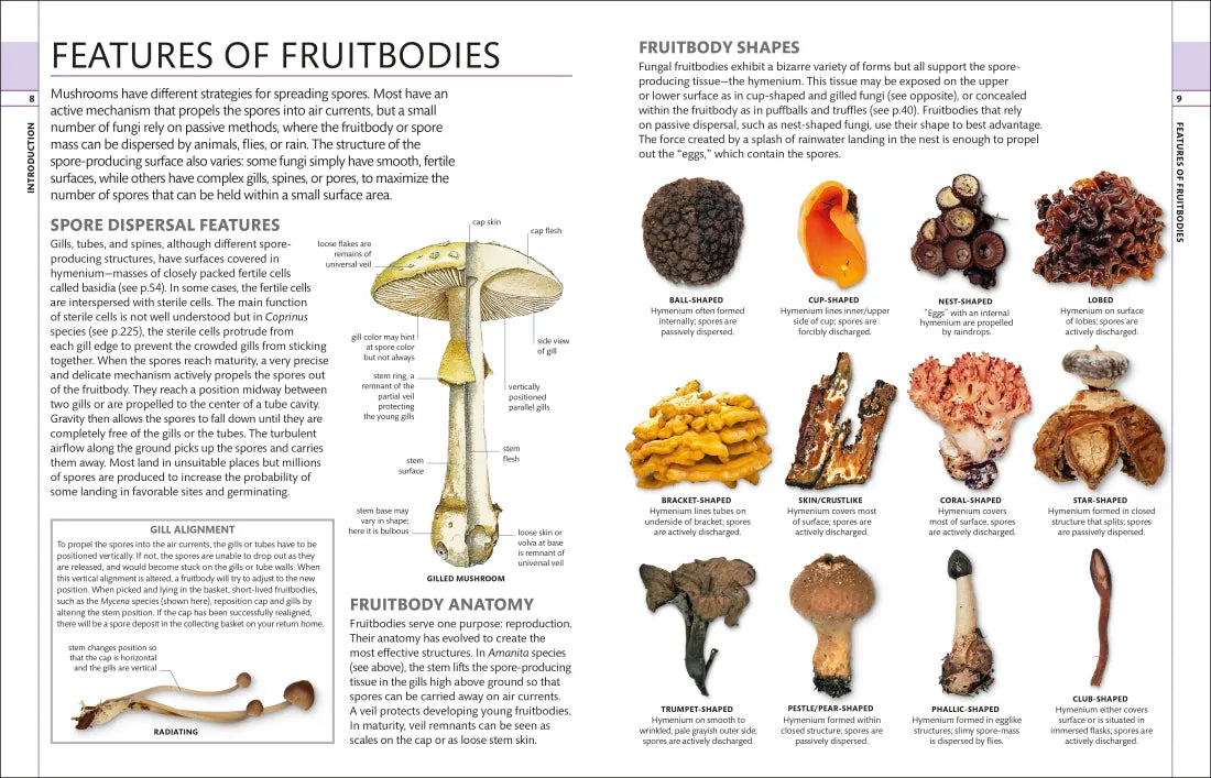 Mushrooms US - Hardback