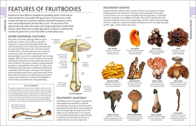 Mushrooms US - Hardback