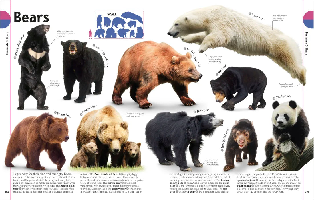 The Animal Book US - Hardback
