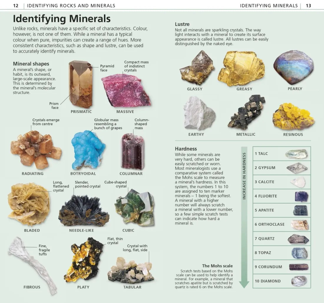 Whats that Rock or Mineral US - Paperback / softback