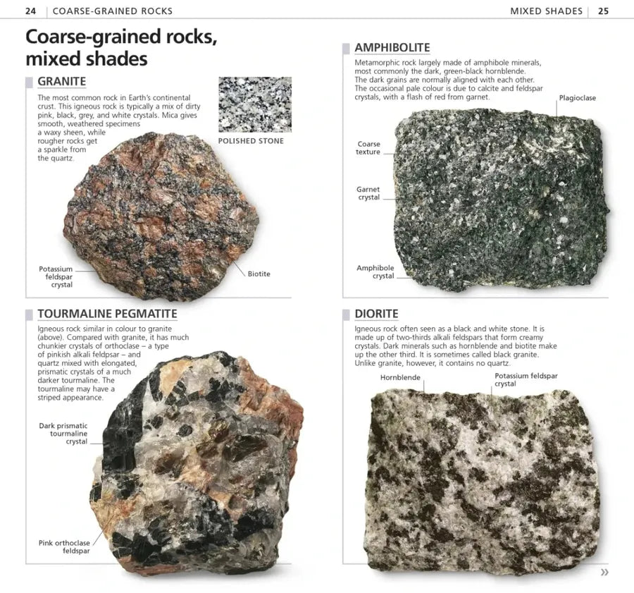 Whats that Rock or Mineral US - Paperback / softback