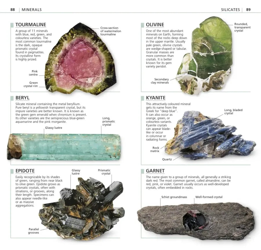 Whats that Rock or Mineral US - Paperback / softback