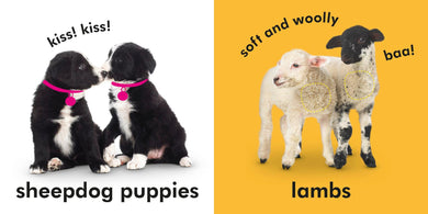 Baby Touch and Feel: Farm Friends US - Board book