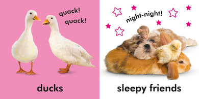 Baby Touch and Feel: Farm Friends US - Board book