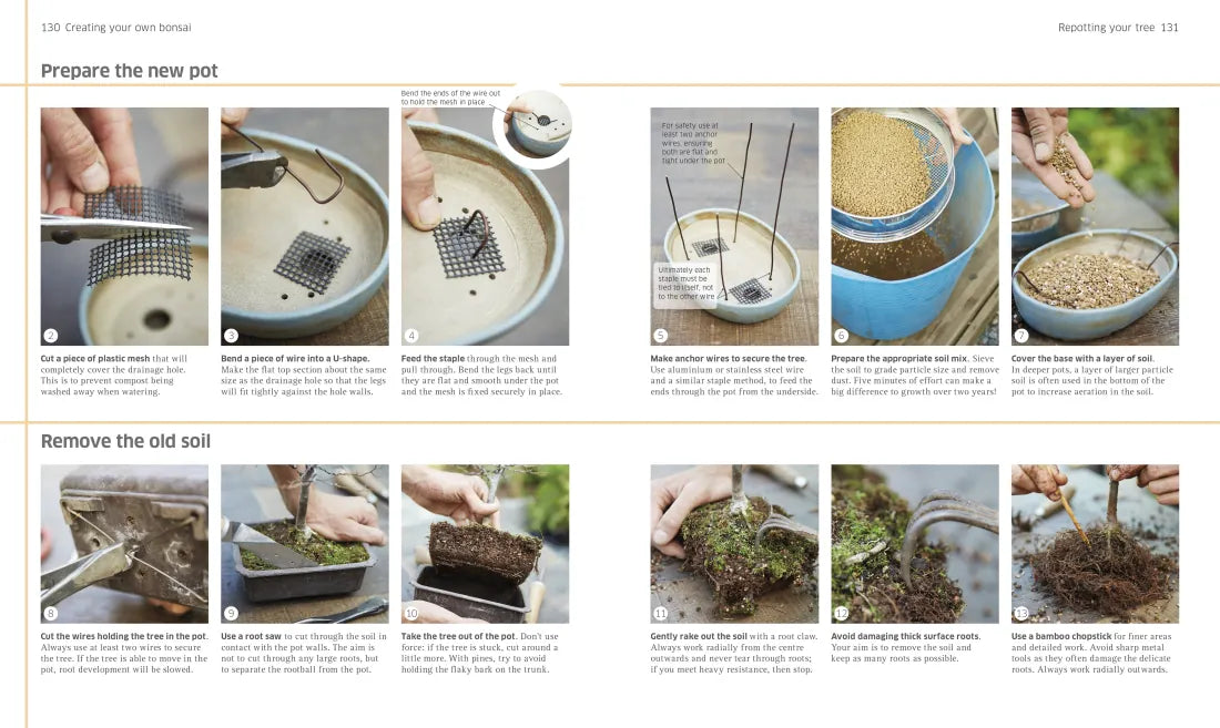 Bonsai US - Hardback