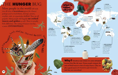 Everything You Need to Know About Bugs US - Hardback