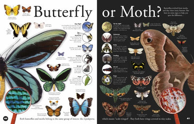Everything You Need to Know About Bugs US - Hardback