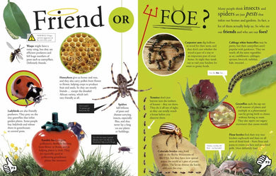 Everything You Need to Know About Bugs US - Hardback
