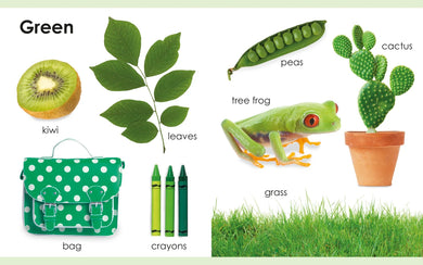 My First Colors US - Board book