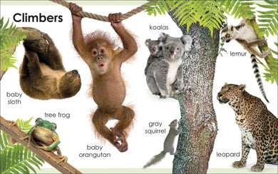 My First Animals US - Board book