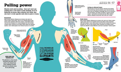 How the Body Works US - Hardback