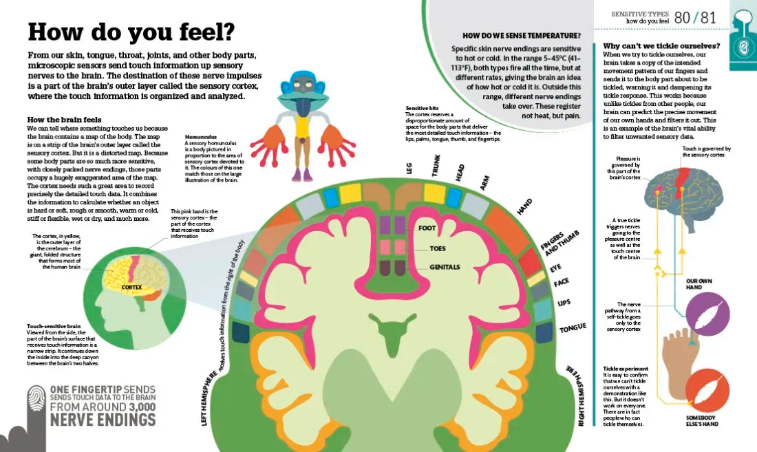 How the Body Works US - Hardback