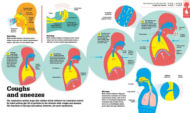 How the Body Works US - Hardback