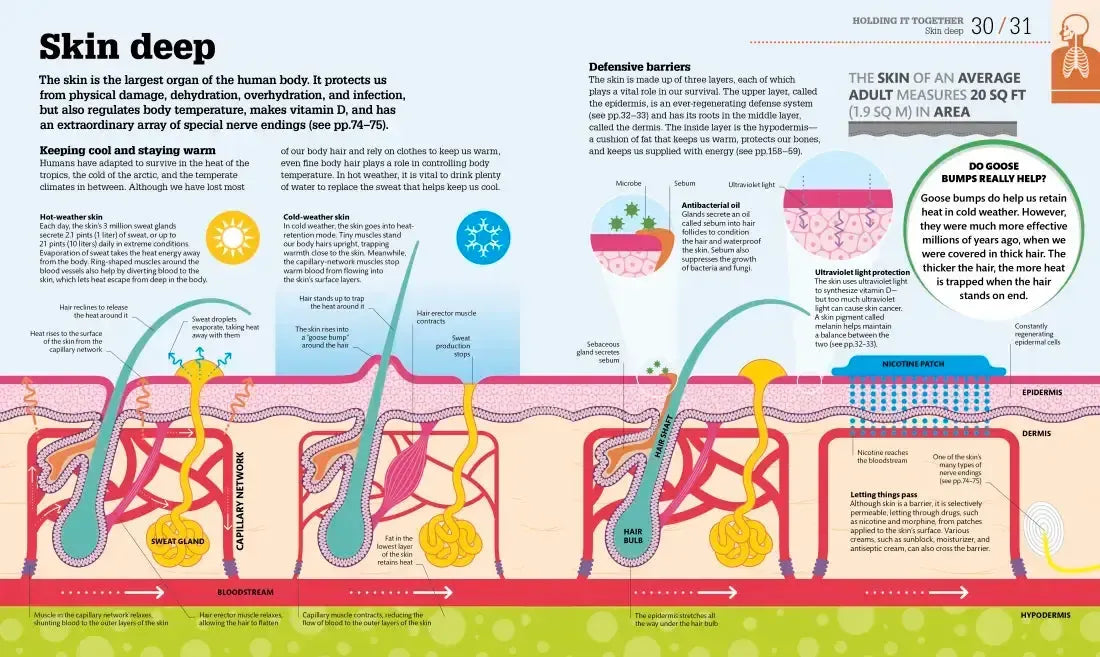 How the Body Works US - Hardback