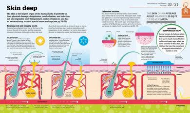 How the Body Works US - Hardback