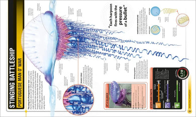 Super Shark Encyclopedia US - Hardback