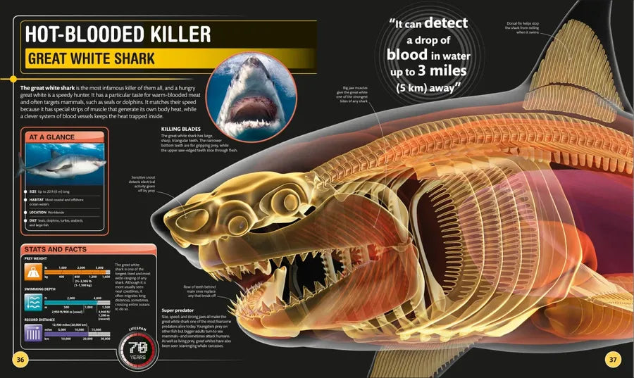 Super Shark Encyclopedia US - Hardback