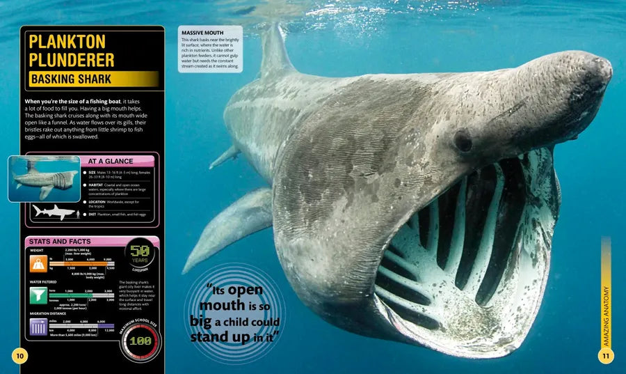 Super Shark Encyclopedia US - Hardback