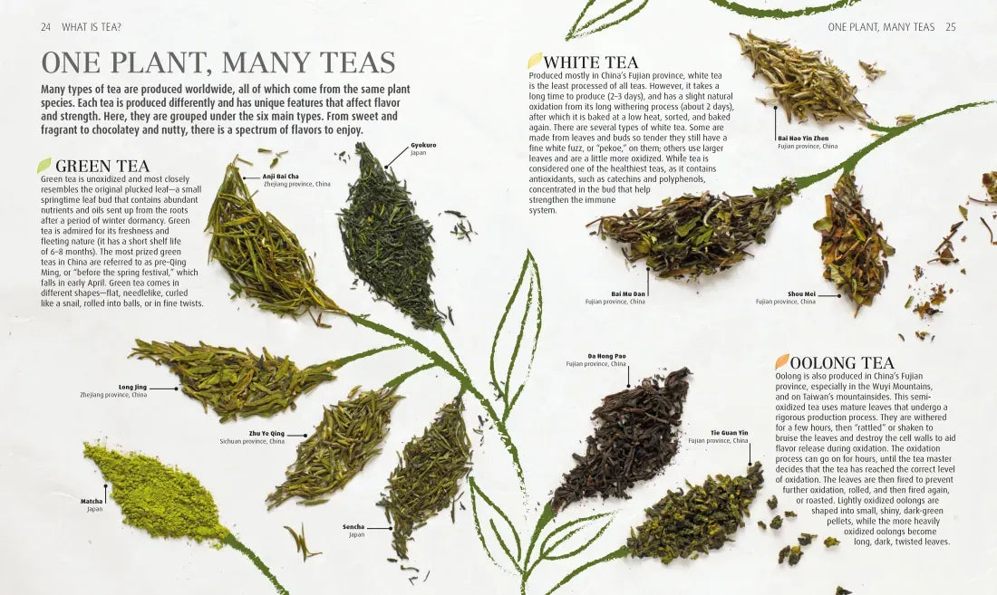 The Tea Book US - Hardback