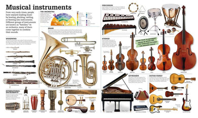 Picturepedia, Second Edition US - Hardback