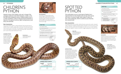 Snake US - Paperback / softback