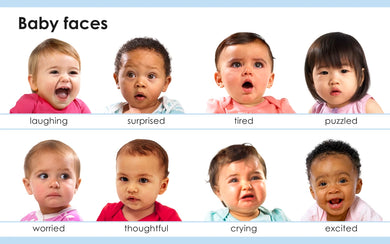 My First Body US - Board book