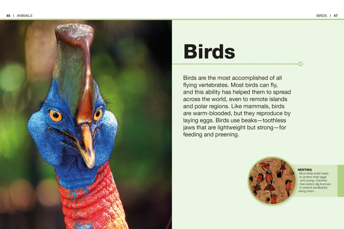 Pocket Genius: Animals US - Paperback / softback