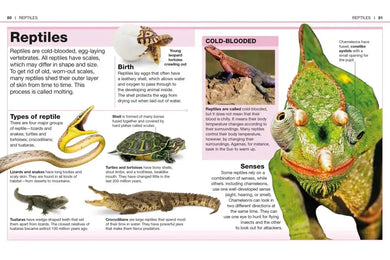 Pocket Genius: Animals US - Paperback / softback
