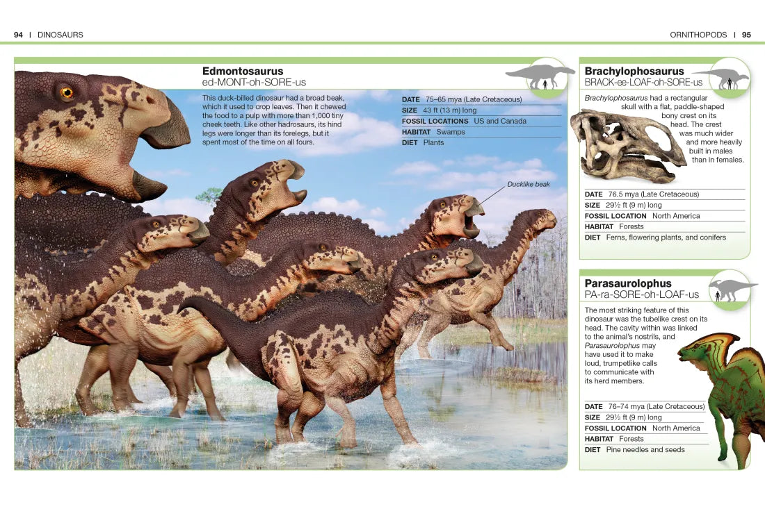 Pocket Genius Dinosaurs US - Paperback / softback