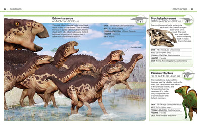 Pocket Genius Dinosaurs US - Paperback / softback