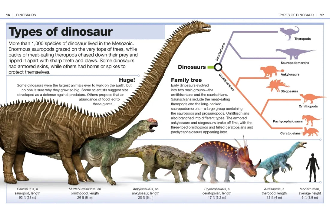 Pocket Genius: Dinosaurs US - Paperback / softback